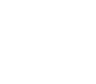 BibiSol
